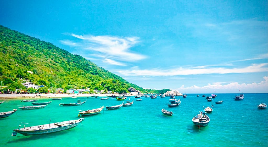 Tìm Hiểu Giờ Cano Xuất Phát Đi Cù Lao Chàm và Kinh Nghiệm Du Lịch
